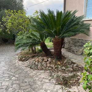  Appartamento Il Giardino Delle Cycas Italia